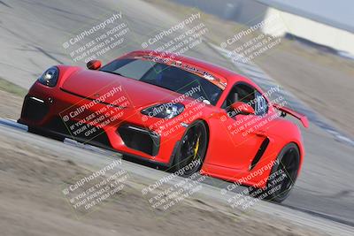 media/Oct-21-2023-Speed Ventures (Sat) [[ddf75163c5]]/Green/Grapvine/